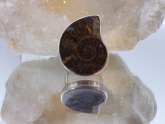 Bague en Ammonite