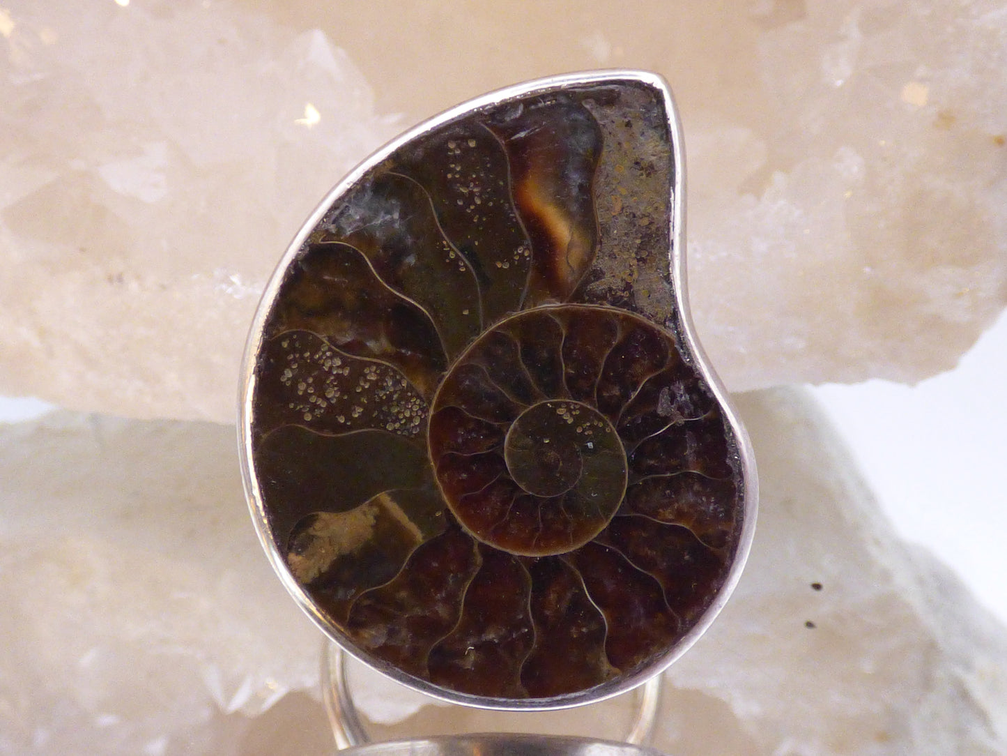 Bague en Ammonite