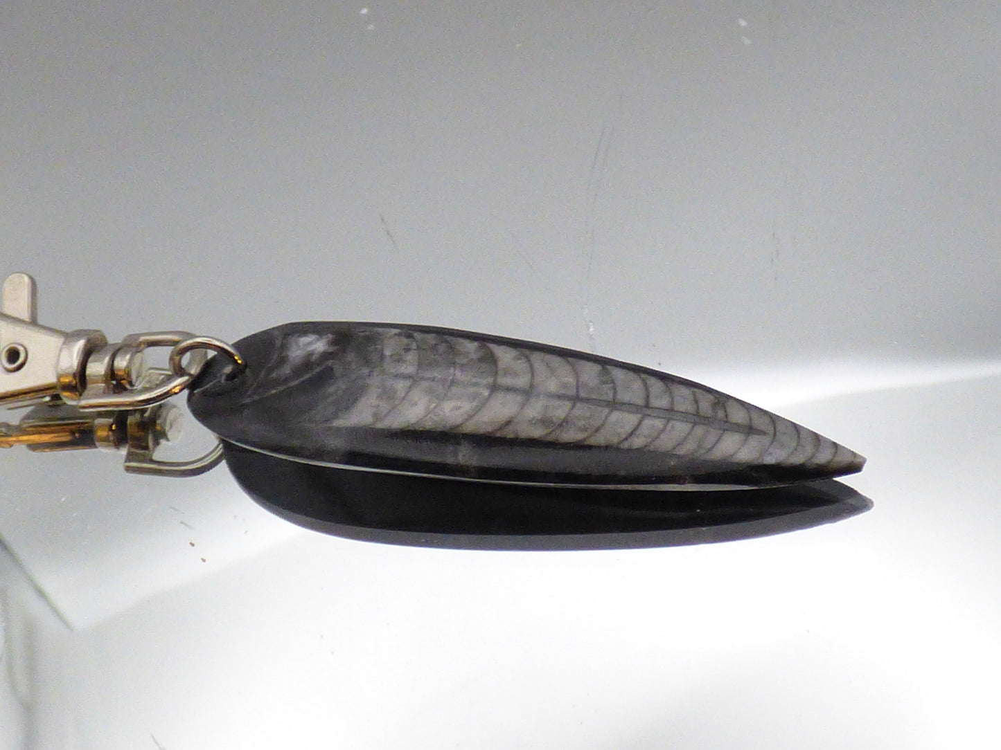 porte clefs en orthocera
